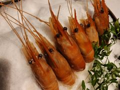 酒料醉翁熟虾-桂满陇·海市蜃楼·黑金(国金店)