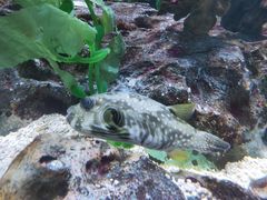 -海合安成都极地海洋公园