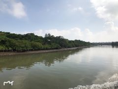 -东寨港红树林旅游区