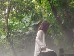 -呀诺达热带雨林