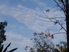 -常德桃花源景区