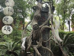 -横店影视城梦幻谷园区