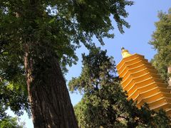 -天津盘山风景名胜区