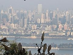 -岳麓山风景名胜区