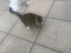 -旅顺博物馆
