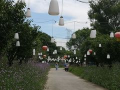 -上海杨姆庄园