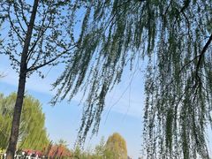 -河北省园博园