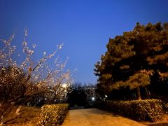 -海棠花溪(元大都城垣遗址公园)