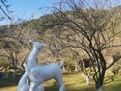 -广东天露山旅游度假区