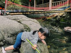 -白云源风景区