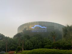 -上海东方艺术中心