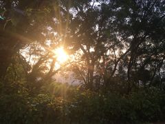 -金鸡山公园