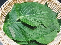 -老熟人烤肉城(马家堡店)