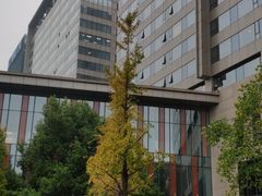 -上海虹桥西郊假日酒店