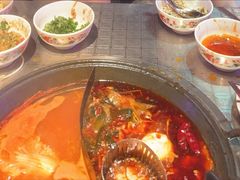 -朱光玉火锅馆(龙阳广场店)