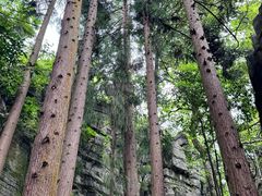 -梭布垭石林景区