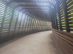 -昆山城市生态森林公园