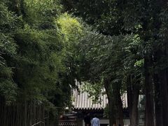 -大慈恩寺(大雁塔)