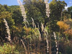 -云岫谷自然风景区