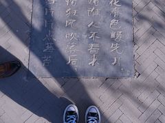 -桃花堤公园
