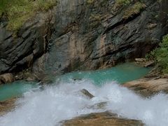 -广州白江湖森林公园