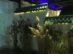 -淀里船宴(裕华东路店)