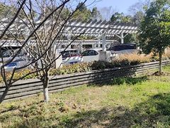 -白马涧龙池景区