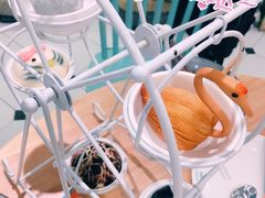 -一盒小幸运