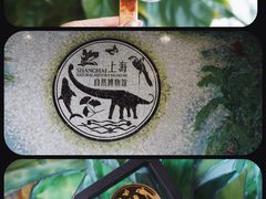 -上海自然博物馆