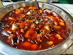 -晓彭肥肠鸡·泡椒鸡火锅(水木天地店)
