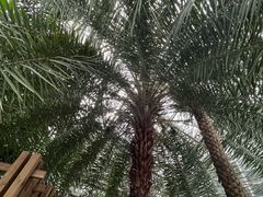 -南山植物园