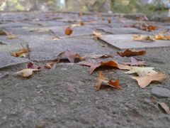 -天津盘山风景名胜区