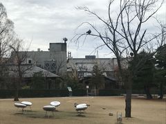 -金泽21世纪美术馆