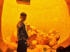 -郑州方特梦幻王国