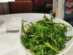 凉拌蓬蒿菜-潮福城大酒楼·潮味粤品·港式点心(湖滨北路店)