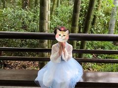 -法云安缦酒店