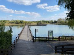 -溱湖国家湿地公园