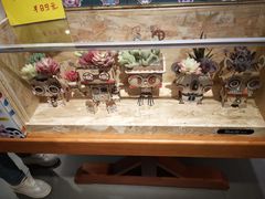 -矢量咖啡(万象汇店)