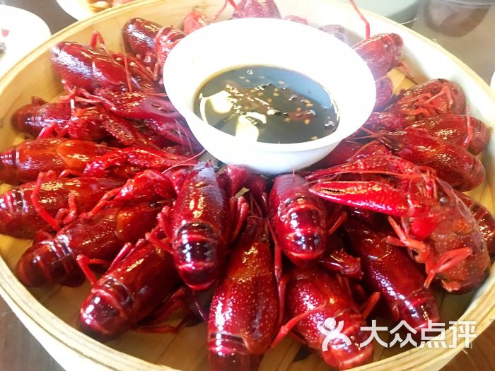 亮亮满崽龙虾清蒸龙虾图片 - 第59张