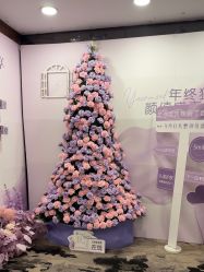 -东森自然美.INDIBA.美容SPA.皮肤管理