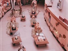 -陕西自然博物馆