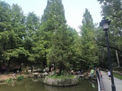 -白水寺森林公园
