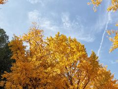 -苏州河梦清园环保主题公园