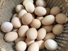 -马陆小张葡萄园农家乐