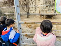 -蓝莓果幼儿园(通州梨园店)