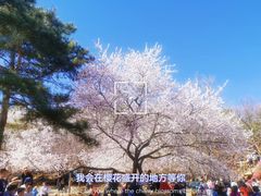 -北京西山国家森林公园