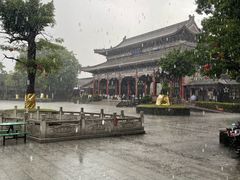 -粤晖园