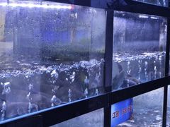 -匠岳·王宝器麻椒鱼(会展中心店)