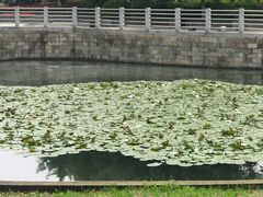 -后襄河公园