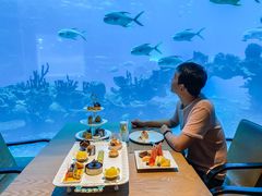 -海棠湾洲际-涛·海底餐厅·美人鱼·自助餐·海底隧道
